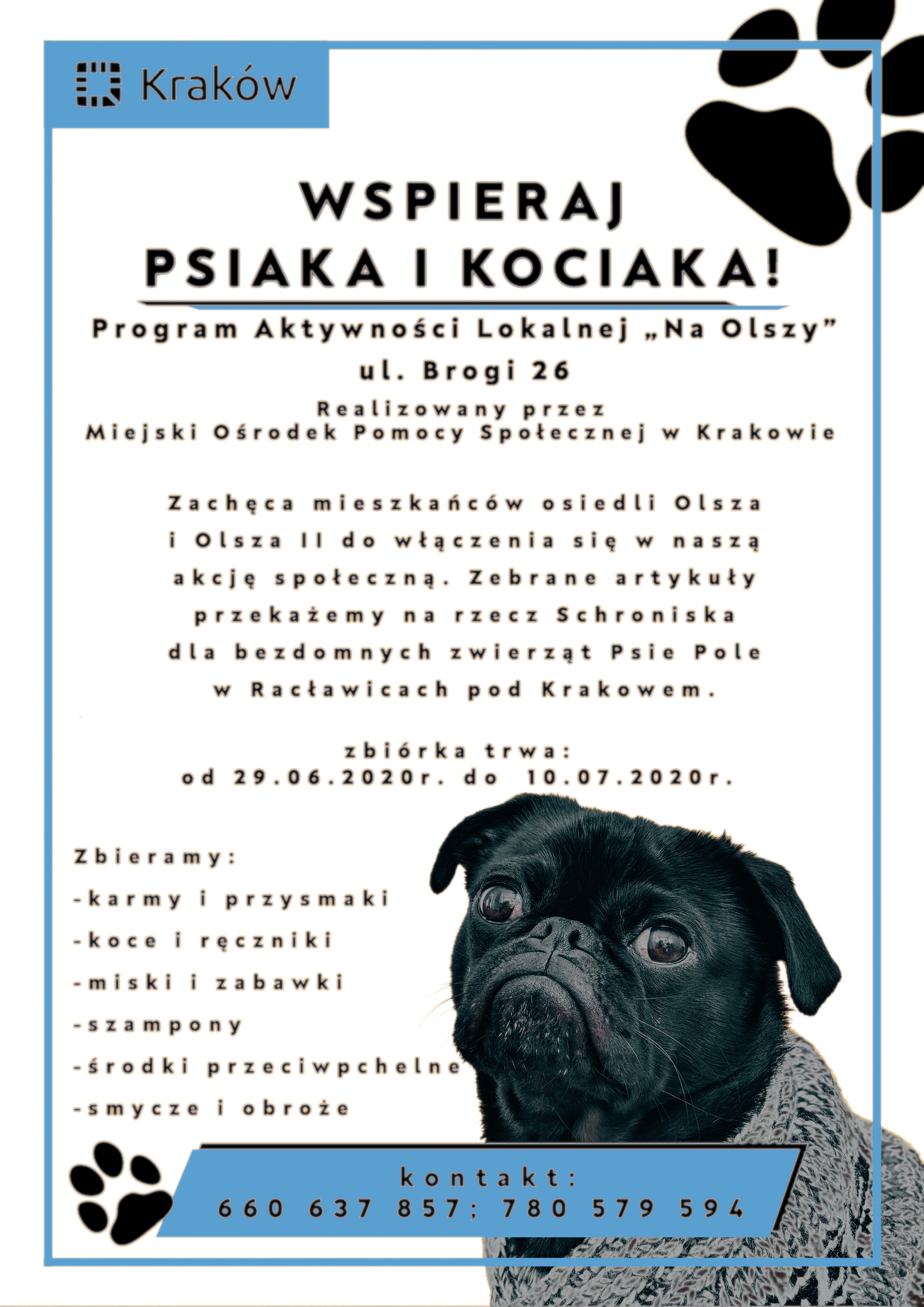 Wspieraj psiaka i kociaka 